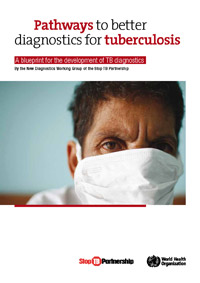 Pathways to better diagnostics for tuberculosis: A blueprint